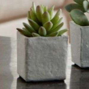 Mini Faux Succulent